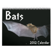 Mural Calendrier de battes (Protection)