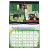 Mural Calendrier de berger allemand (Mar 2027)