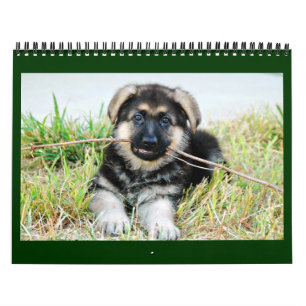 Mural Calendrier de berger allemand