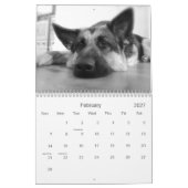 Mural Calendrier de berger (GSD) allemand (Feb 2027)