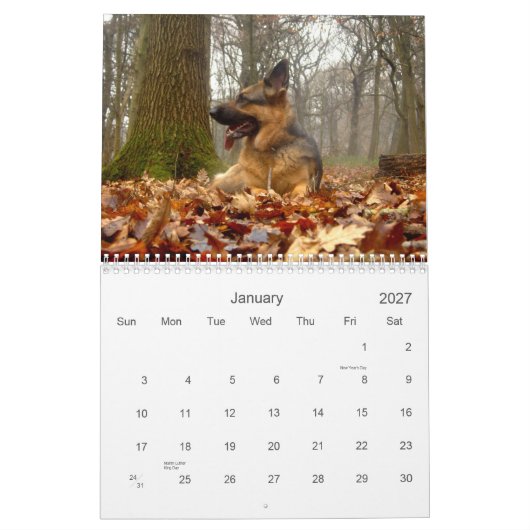 Mural Calendrier de berger (GSD) allemand (Jan 2027)