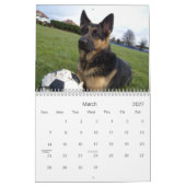 Mural Calendrier de berger (GSD) allemand (Mar 2027)