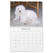 Mural Calendrier de Bichon Frisé (Feb 2027)