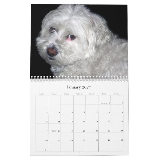 Mural Calendrier de Bichon Frisé (Jan 2027)