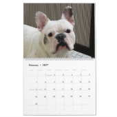 Mural Calendrier de bouledogue français (Feb 2027)