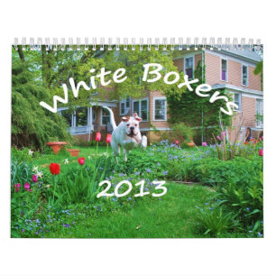 Mural Calendrier de boxeur de 2013 blancs