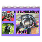 Mural Calendrier de Bumblesnot 2017 (Protection)