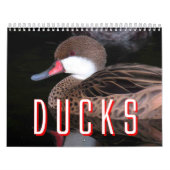 Mural Calendrier de canards (Protection)
