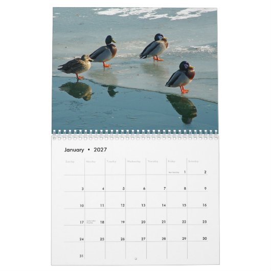 Mural Calendrier de canards (Jan 2027)