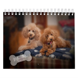 Mural Calendrier de caniche de jouet 2010