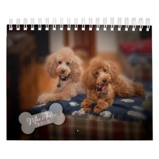 Mural Calendrier de caniche de jouet 2010