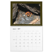 Mural Calendrier de caverne (Mar 2027)