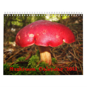 Mural Calendrier de champignon