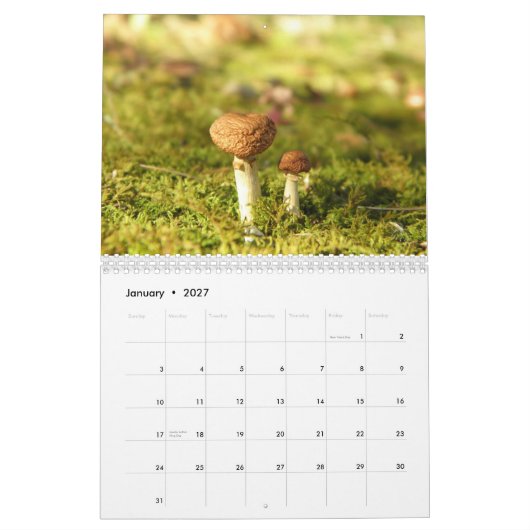 Mural Calendrier de champignon (Jan 2027)