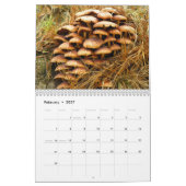 Mural Calendrier de champignon (Feb 2027)