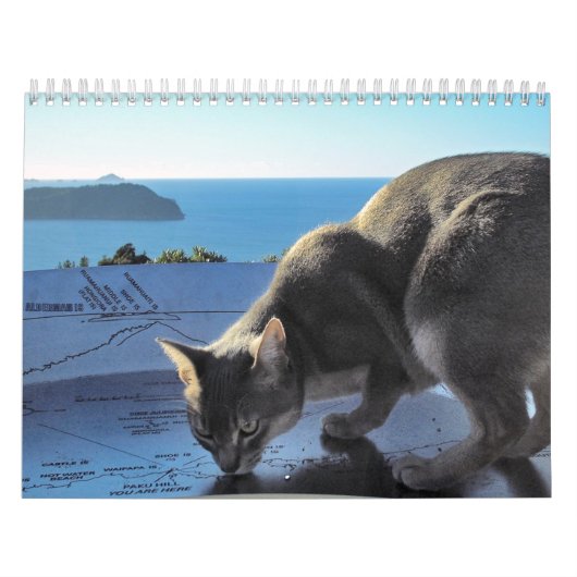 Mural Calendrier de chat (Protection)