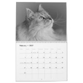 Mural Calendrier de chat de 2018 Sibériens (Feb 2027)