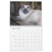 Mural Calendrier de chat de Ragdoll (Mar 2026)