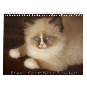 Mural Calendrier de chat de Ragdoll