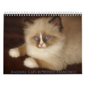Mural Calendrier de chat de Ragdoll (Protection)