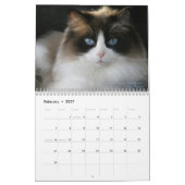 Mural Calendrier de chat de Ragdoll (Feb 2027)