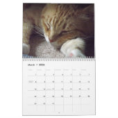 Mural Calendrier de chat Tabby Orange avec Bob (Mar 2026)