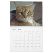 Mural Calendrier de chat Tabby Orange avec Bob (Jan 2026)
