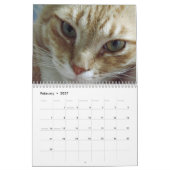 Mural Calendrier de chat Tabby Orange avec Bob (Feb 2027)