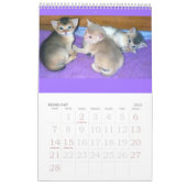 Mural Calendrier de chaton et de chat de Purrfect (Feb 2027)