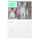 Mural Calendrier de chaton et de chat de Purrfect (Mar 2027)