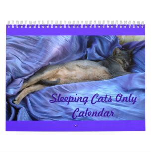Mural Calendrier de chats