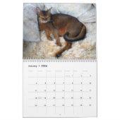 Mural Calendrier de chats (Jan 2026)