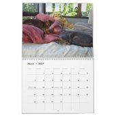 Mural Calendrier de chats (Mar 2027)