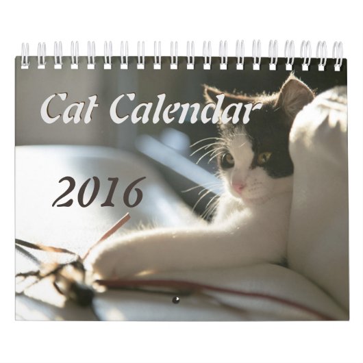 Mural Calendrier de chats (Protection)