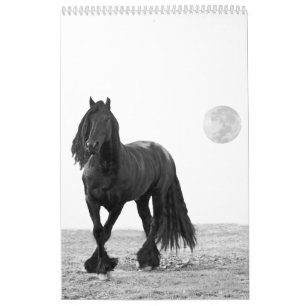 Mural Calendrier de cheval