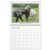 Mural Calendrier de cheval de 12 mois avec des vers de (Mar 2027)