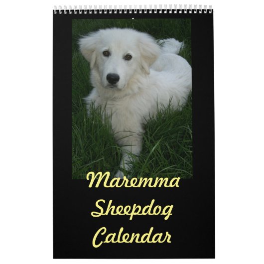 Mural Calendrier de chien de berger de Maremma (Protection)