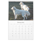 Mural Calendrier de chien de berger de Maremma (Feb 2027)
