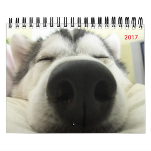 Mural Calendrier de chien de traîneau sibérien