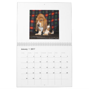 Mural Calendrier de chiot de Basset Hound