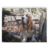 Mural Calendrier de chiot de Basset Hound (Protection)