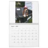 Mural Calendrier de chiot de Basset Hound (Mar 2027)