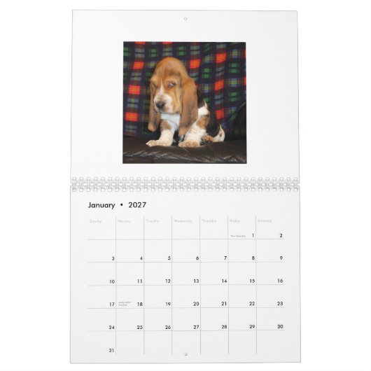 Mural Calendrier de chiot de Basset Hound (Jan 2027)