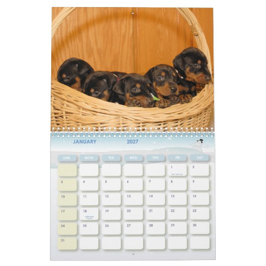 Mural Calendrier de chiot de dobermann (Jan 2027)