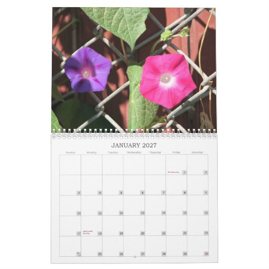 Mural Calendrier de collection du jardin de Cindy (Jan 2027)