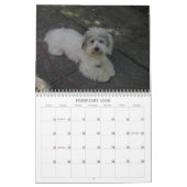 Mural Calendrier de coton (Feb 2026)