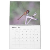 Mural Calendrier de Damselflies et de libellules (Feb 2026)