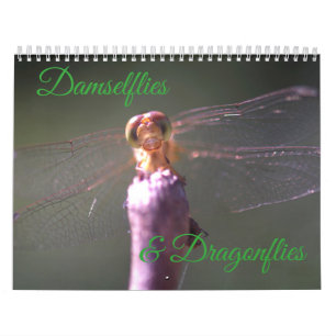 Mural Calendrier de Damselflies et de libellules