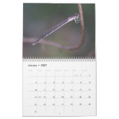 Mural Calendrier de Damselflies et de libellules (Jan 2027)