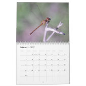 Mural Calendrier de Damselflies et de libellules (Feb 2027)